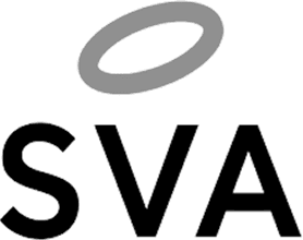 SV Angel